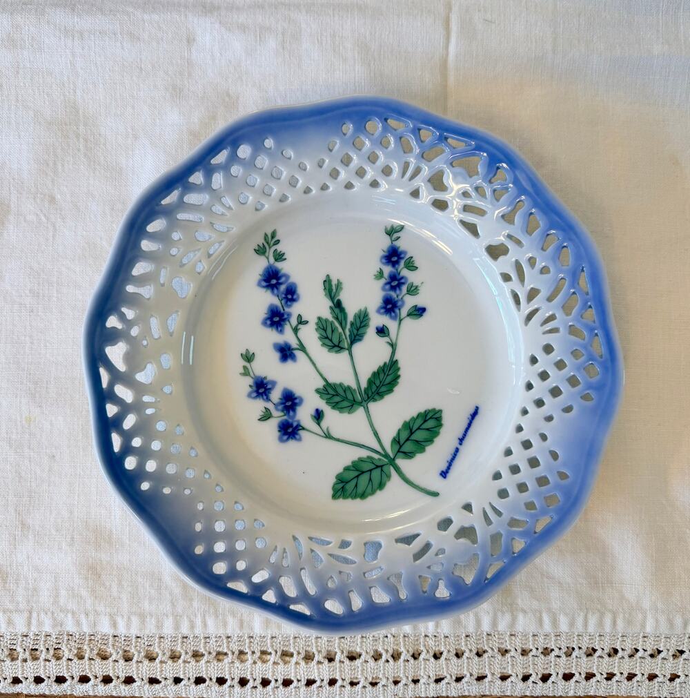 Schumann Arzberg Echt Cobalt Plate Kaj Beckman Botanical Veronica Bavaria